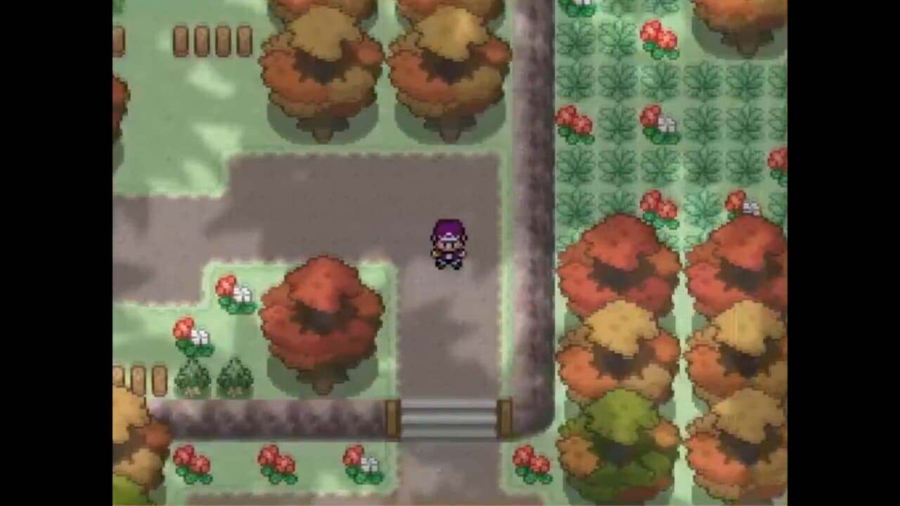 Pokemon Alchemist screenshot 1