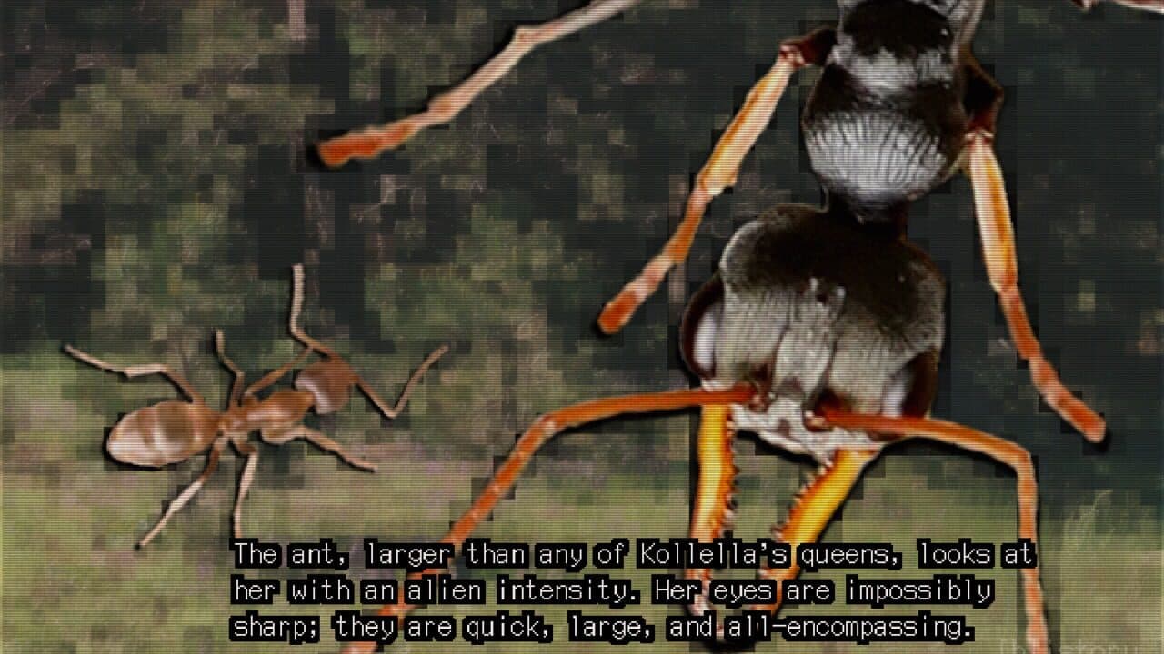 Outside Agent thumbnail 4