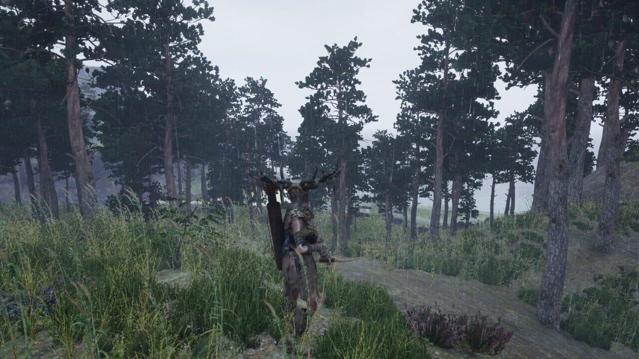 Wilderness Edge thumbnail 3