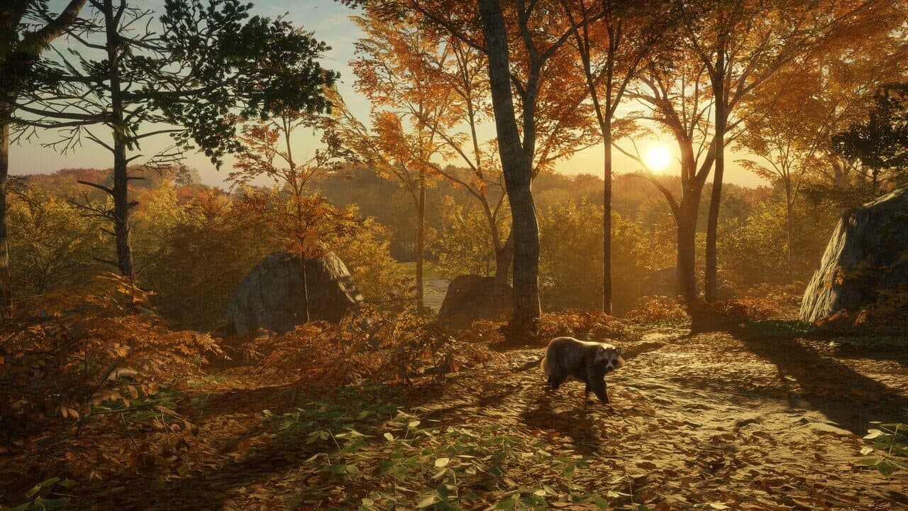 TheHunter: Call of the Wild - Salzwiesen Park thumbnail 5
