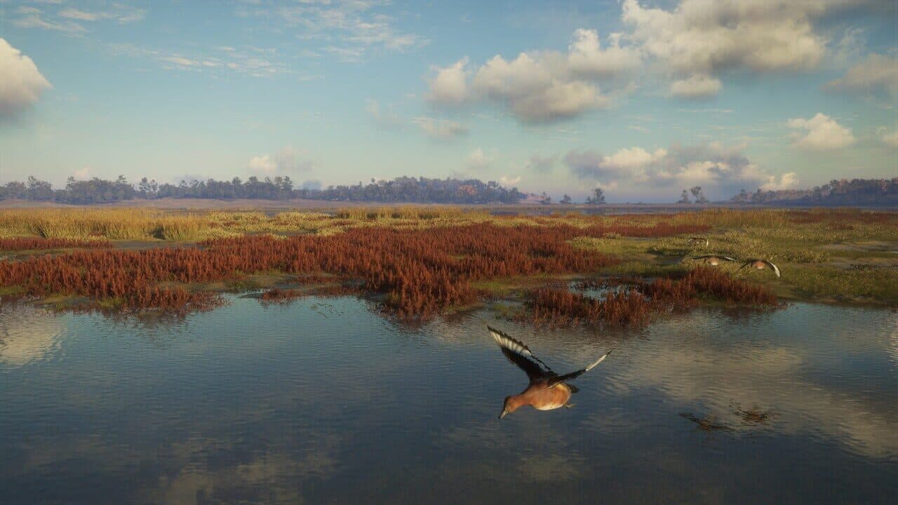 TheHunter: Call of the Wild - Salzwiesen Park thumbnail 7