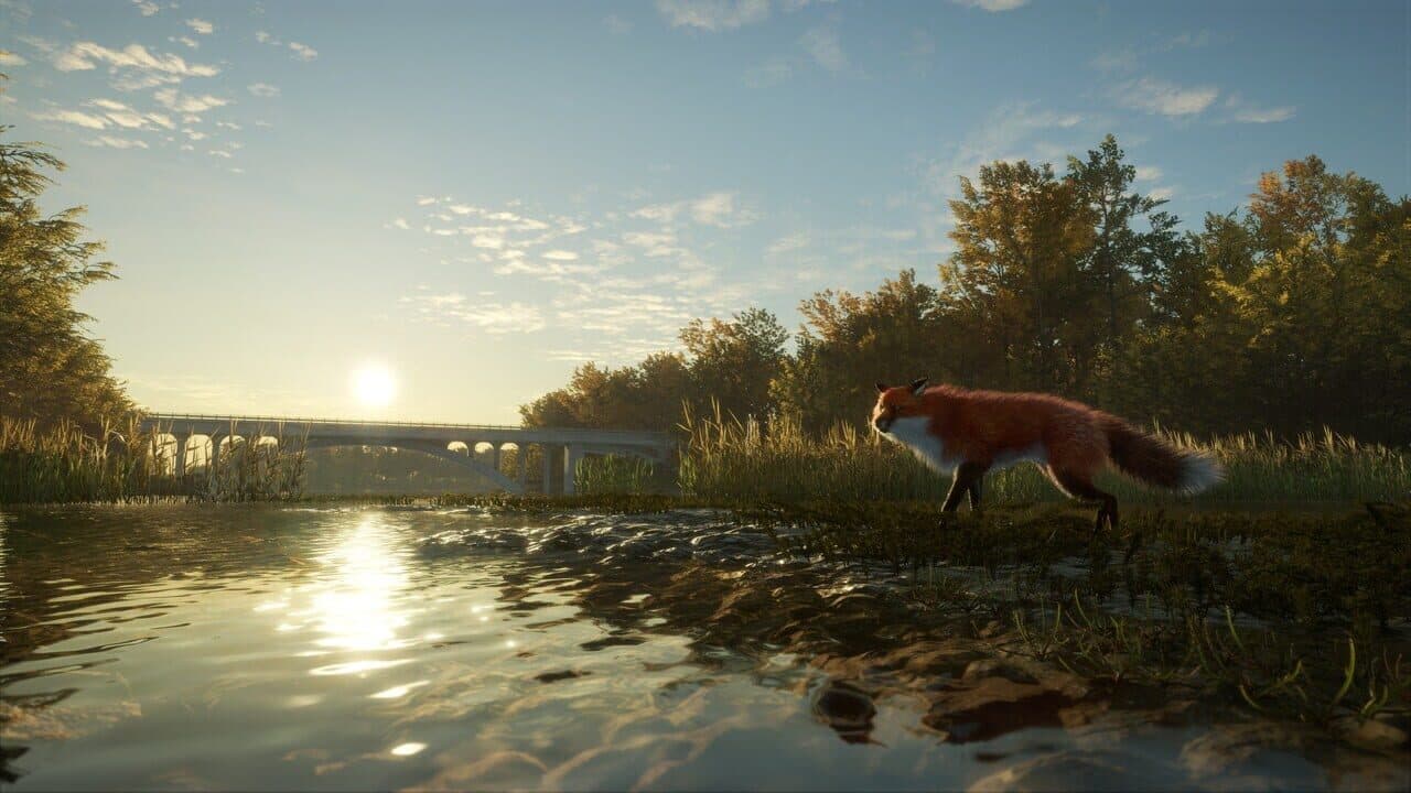 TheHunter: Call of the Wild - Salzwiesen Park thumbnail 8