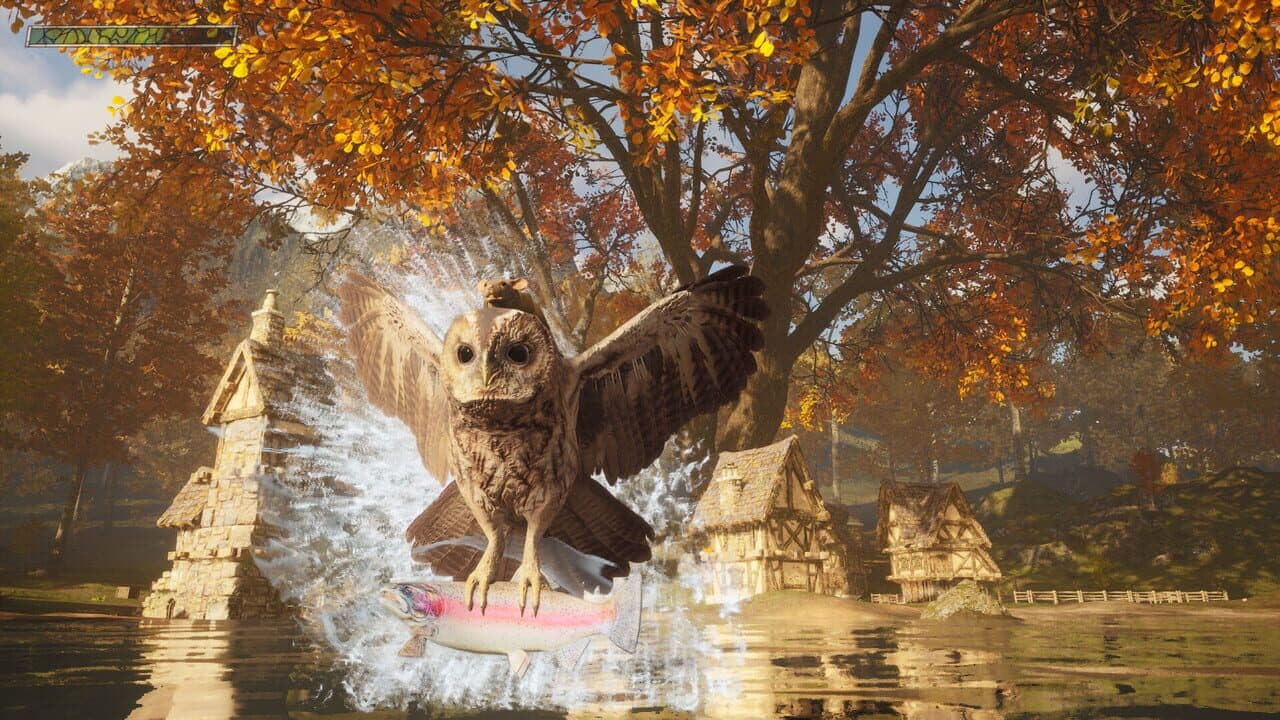 Hawthorn thumbnail 10