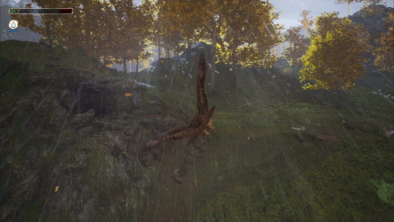 Hawthorn thumbnail 8