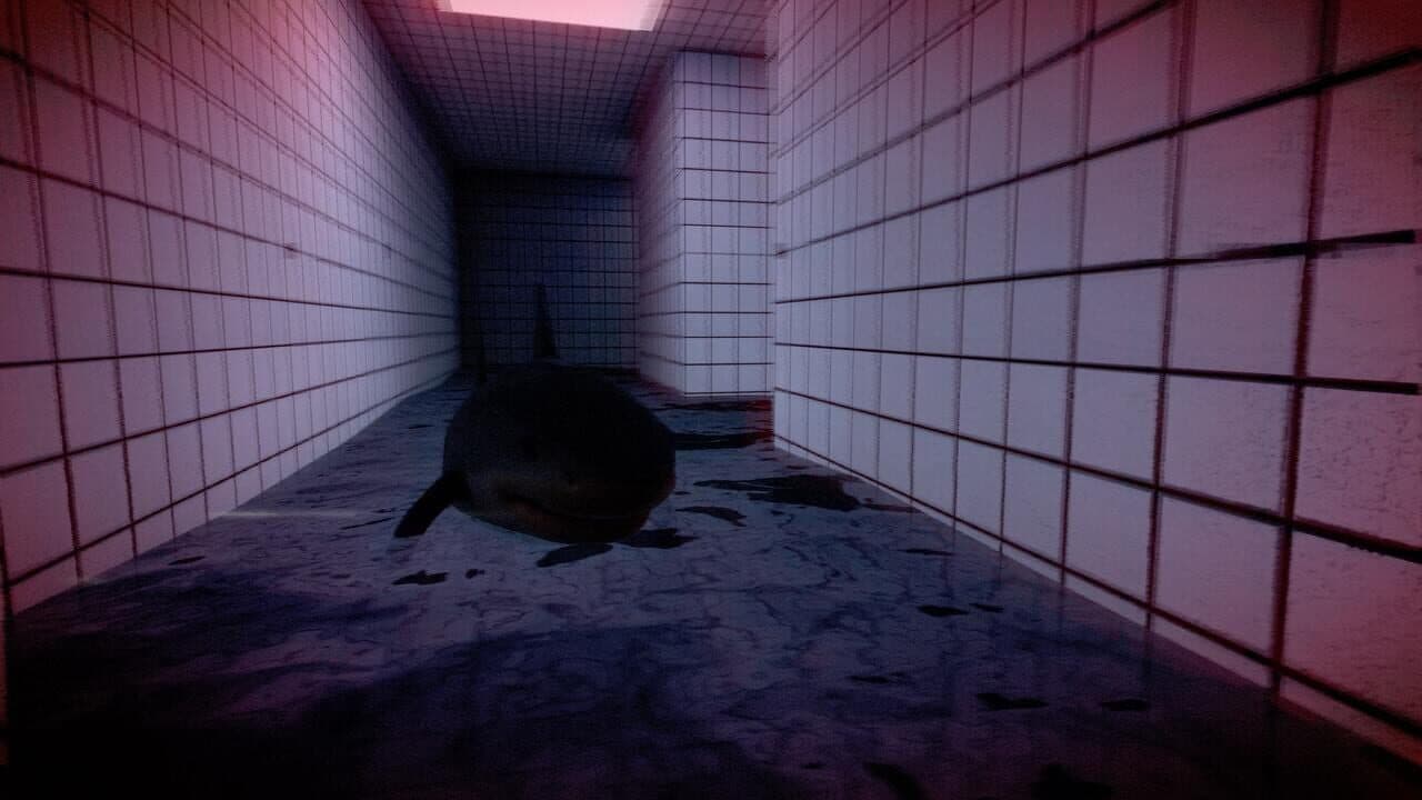 Tralalero Tralala Backrooms Pools thumbnail 6
