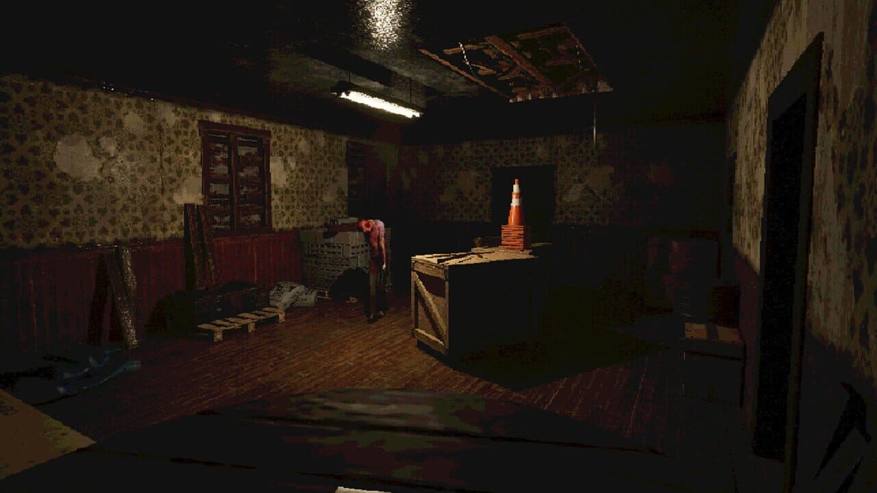 Experiment 28 thumbnail 6