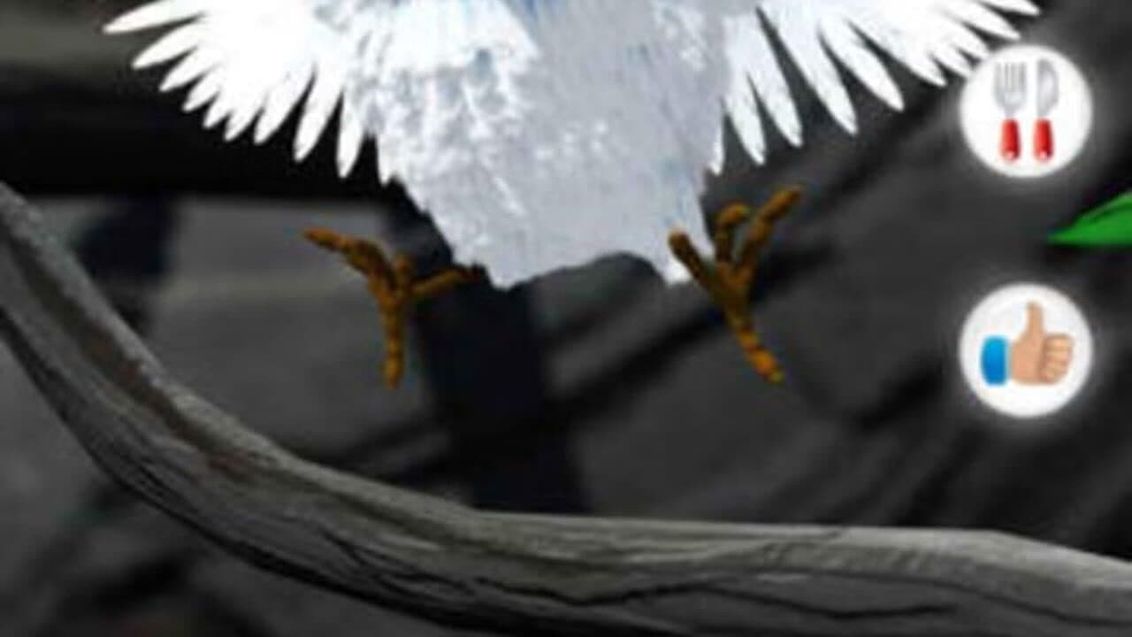 Talking Larry the Bird thumbnail 4