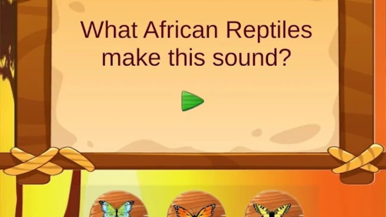 Sounds & Rhythms thumbnail 2