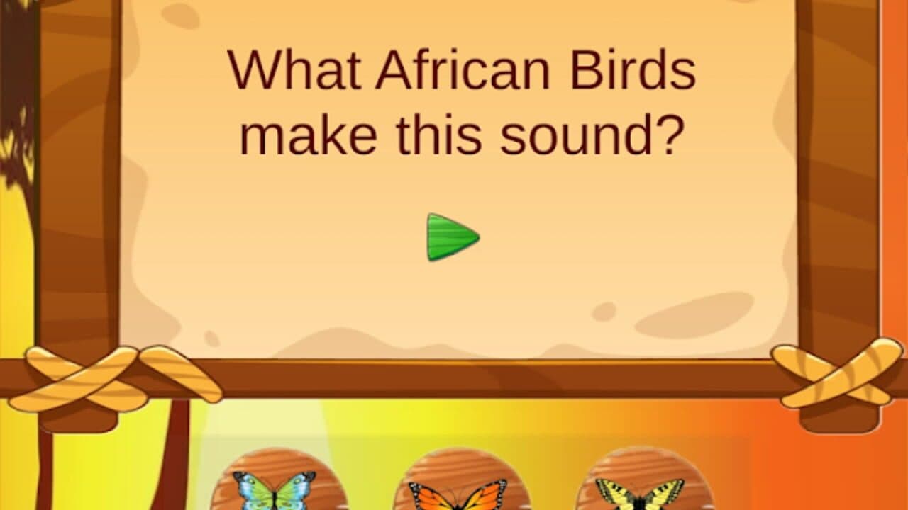 Sounds & Rhythms thumbnail 4