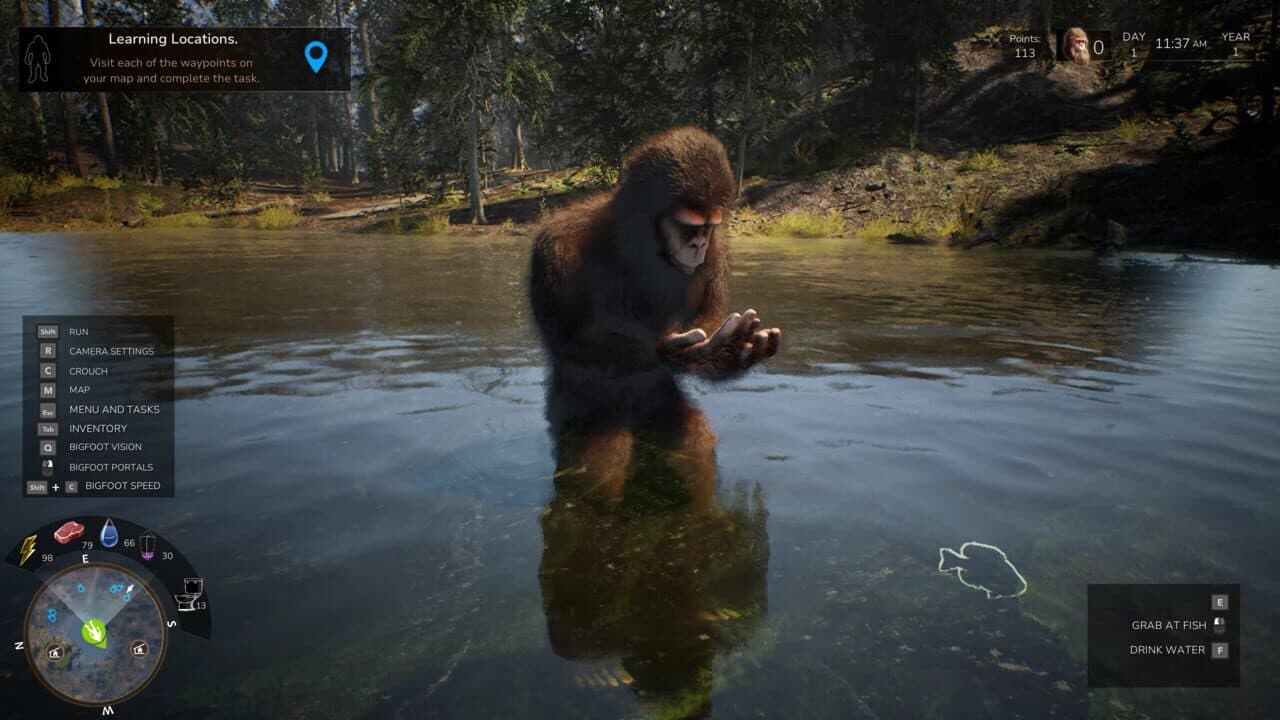 Bigfoot Life thumbnail 6