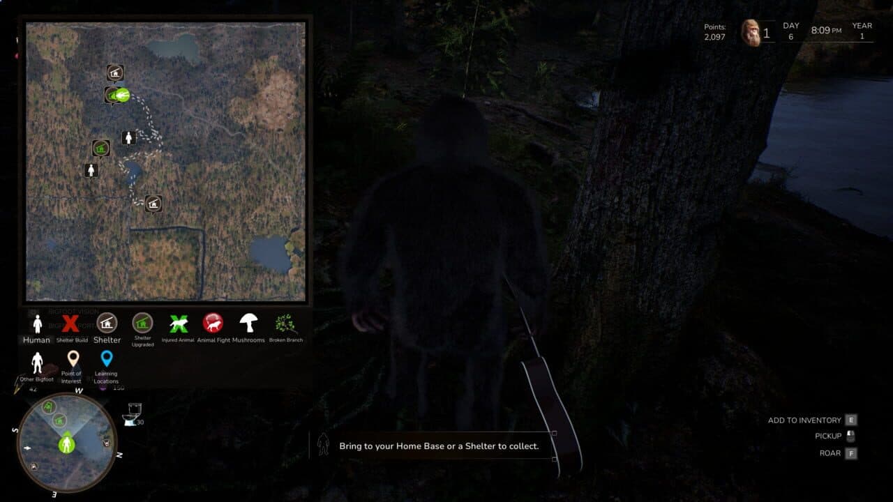 Bigfoot Life thumbnail 13