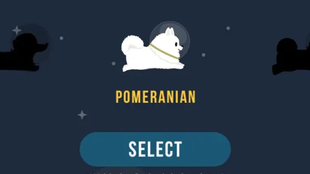 Space Corgi thumbnail 2