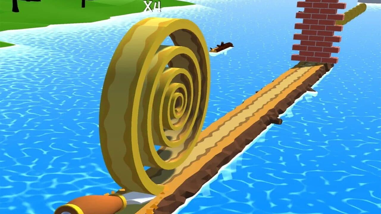 Spiral Roll thumbnail 3