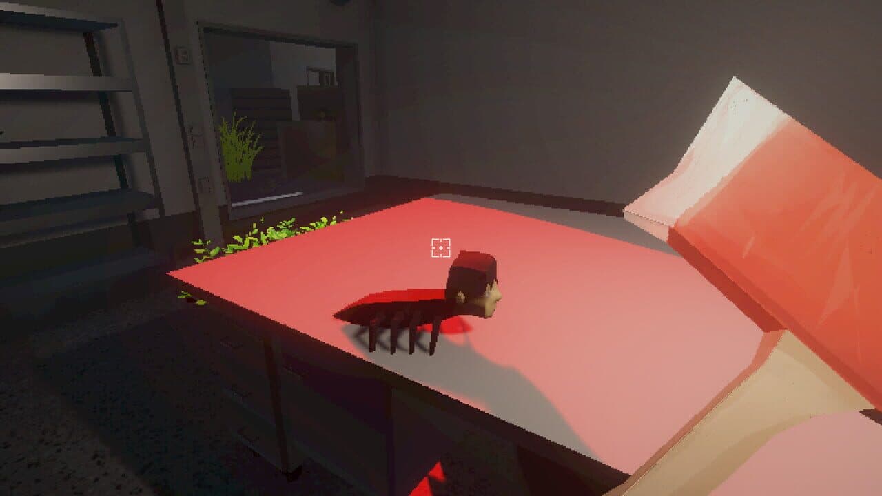 Detra thumbnail 4