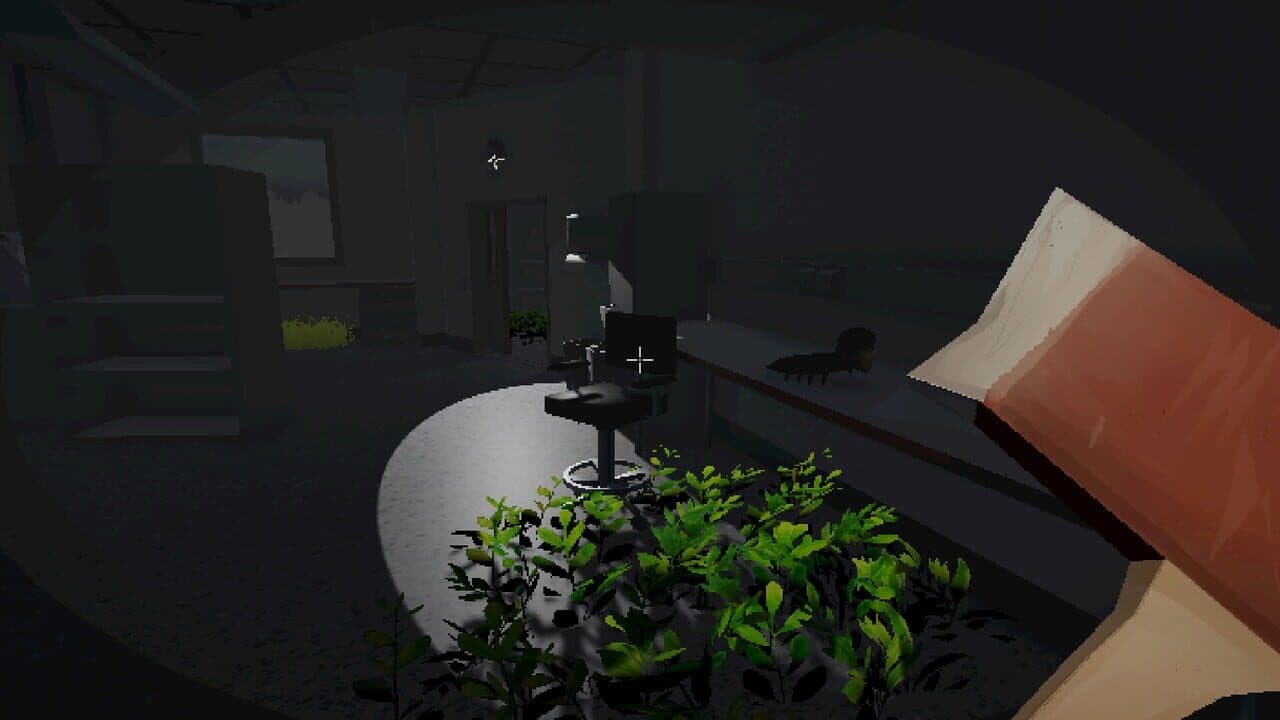 Detra thumbnail 5