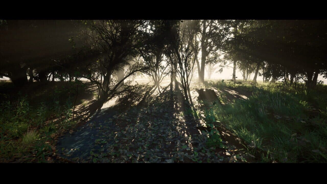 Nietzsche's Shadow thumbnail 3