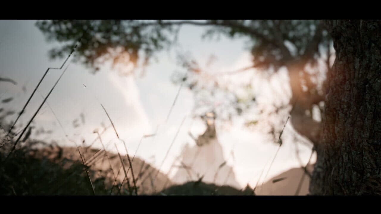 Nietzsche's Shadow thumbnail 9