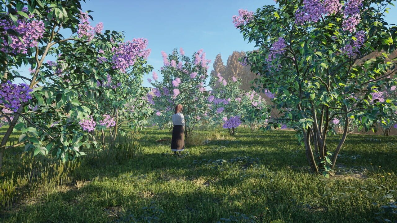 Arcadian Days thumbnail 3