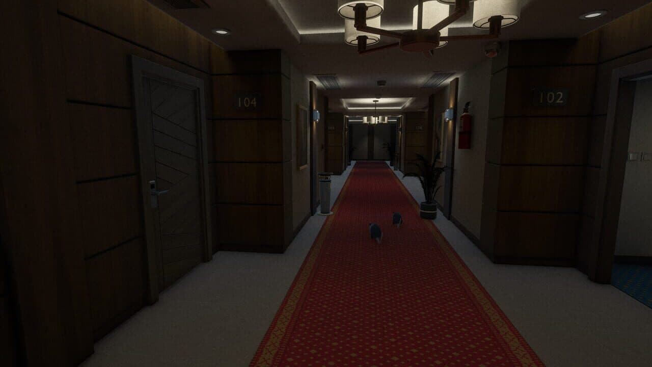 Room 808 thumbnail 2