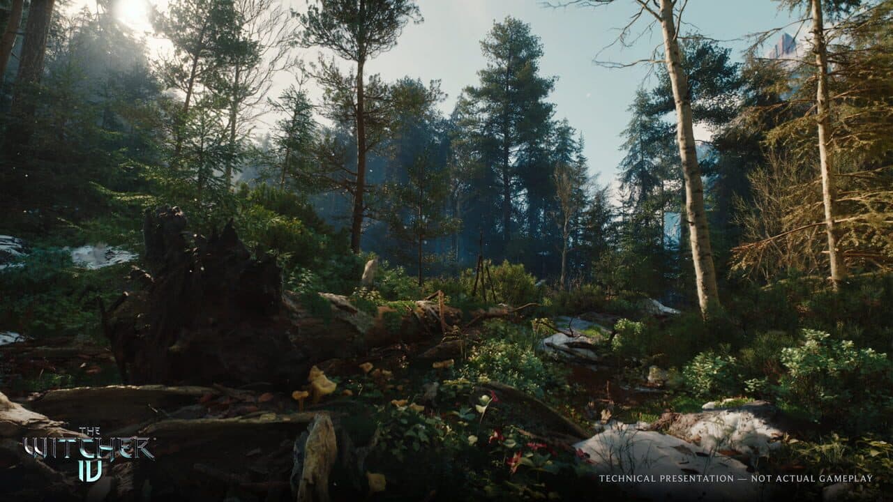 The Witcher IV thumbnail 6