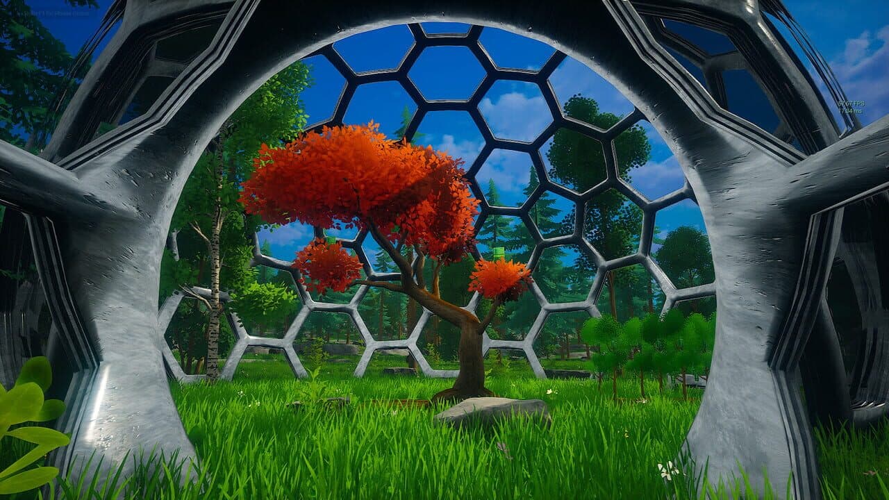 My Money Grows On Trees thumbnail 5