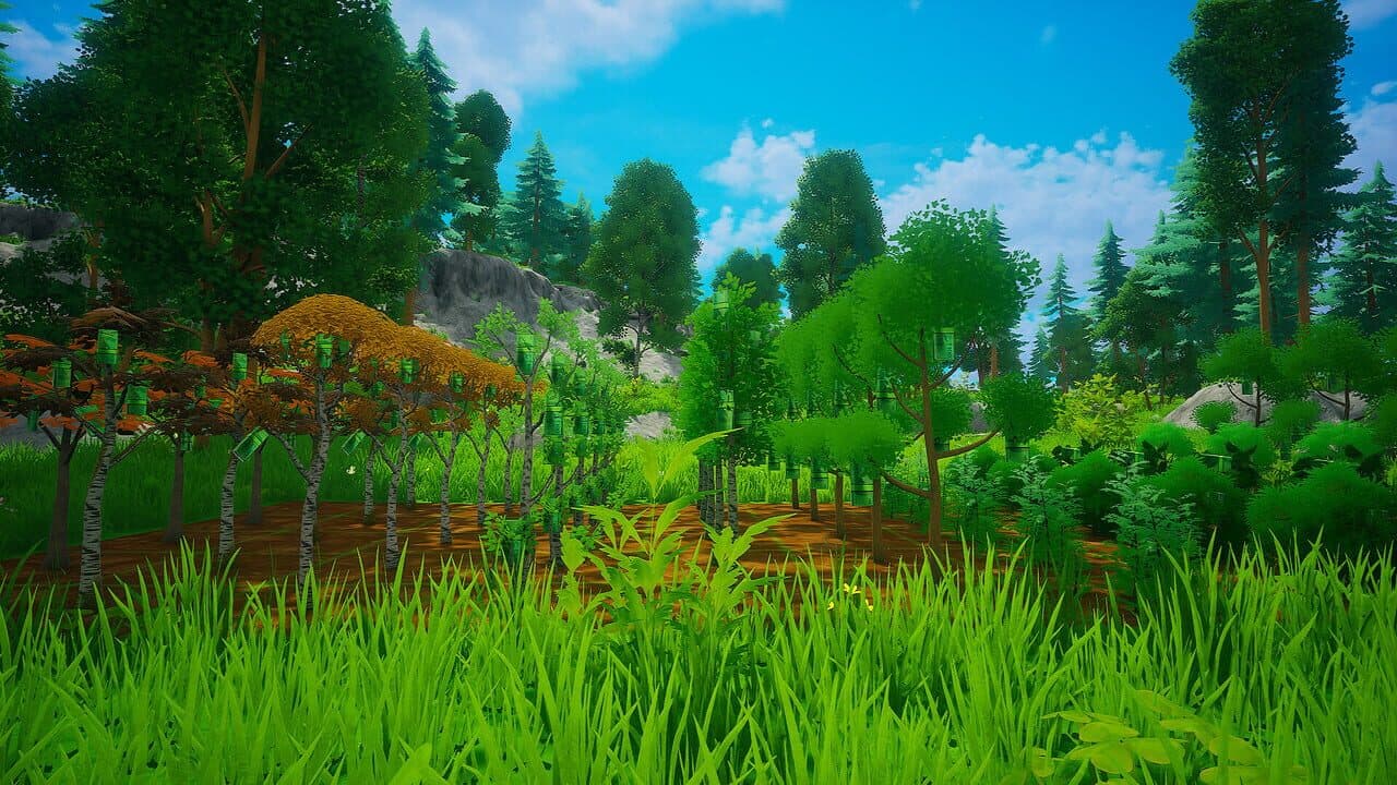 My Money Grows On Trees thumbnail 10