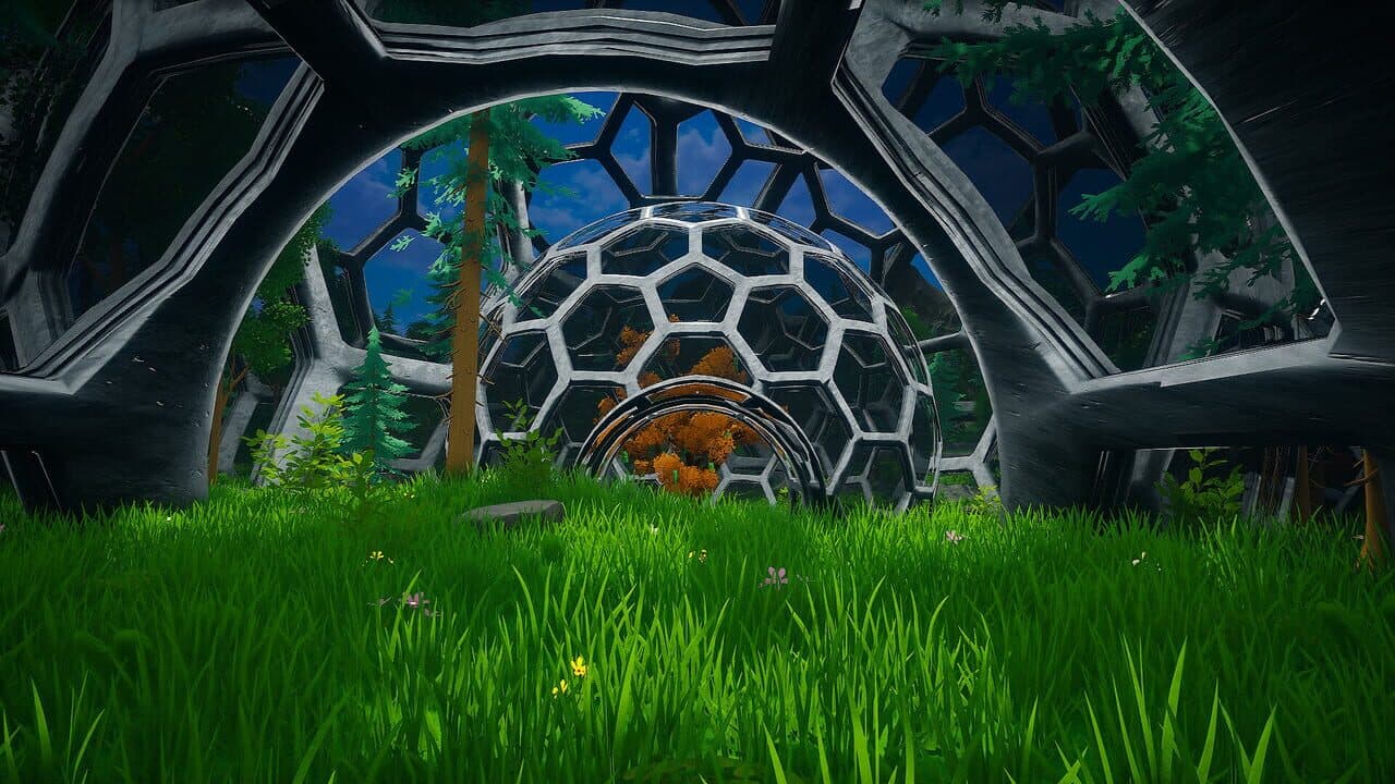 My Money Grows On Trees thumbnail 11