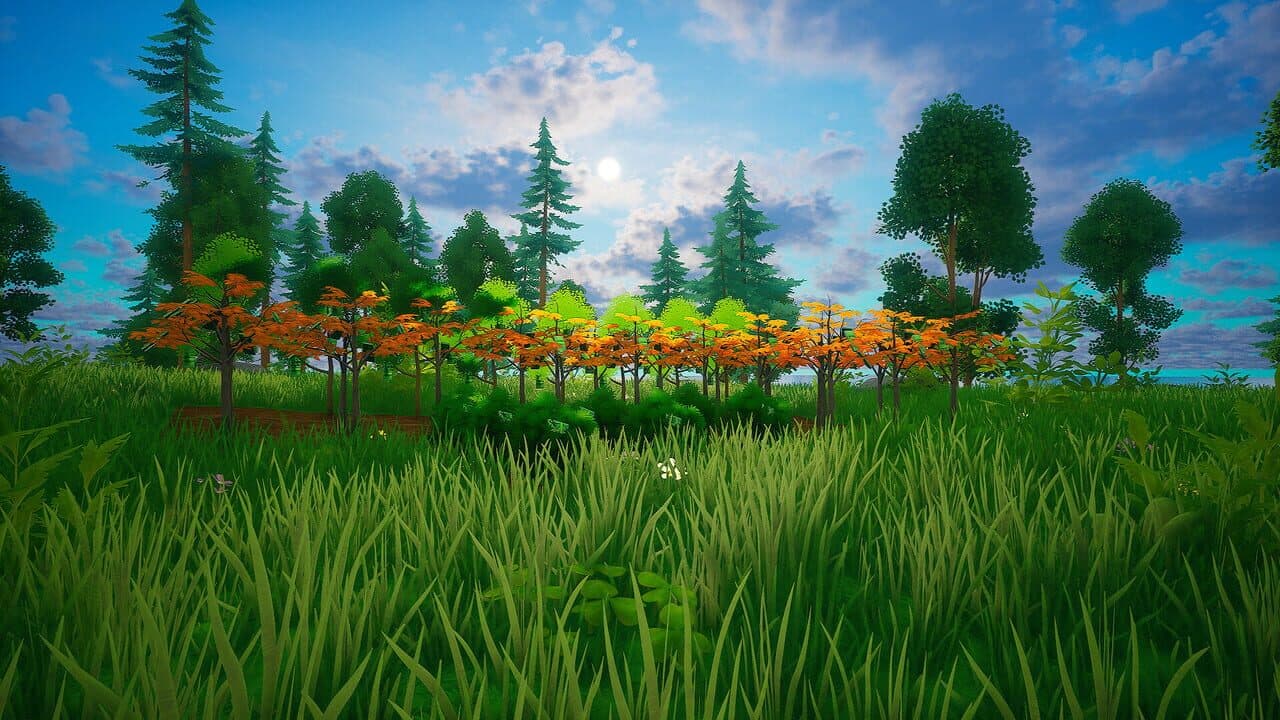 My Money Grows On Trees thumbnail 12