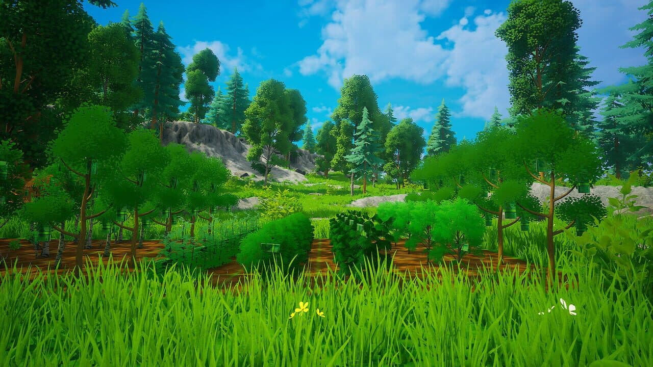 My Money Grows On Trees thumbnail 15