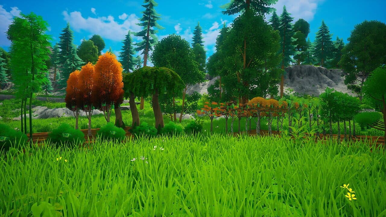 My Money Grows On Trees thumbnail 16