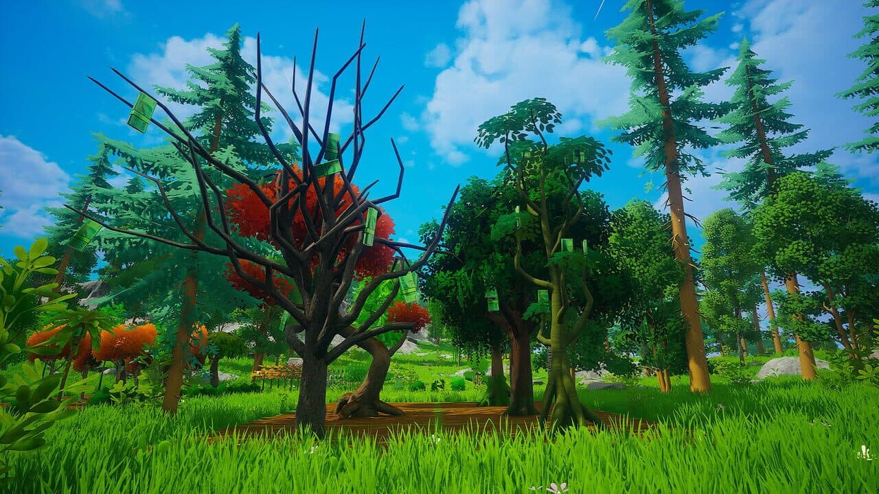 My Money Grows On Trees thumbnail 17