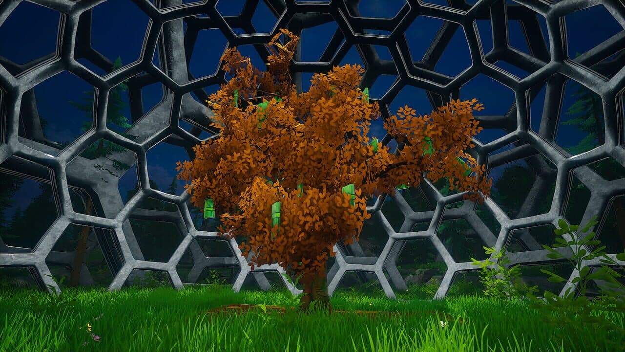 My Money Grows On Trees thumbnail 19
