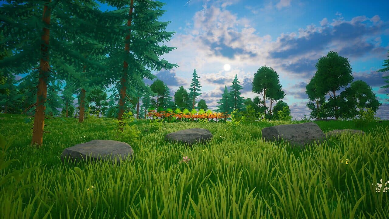 My Money Grows On Trees thumbnail 21