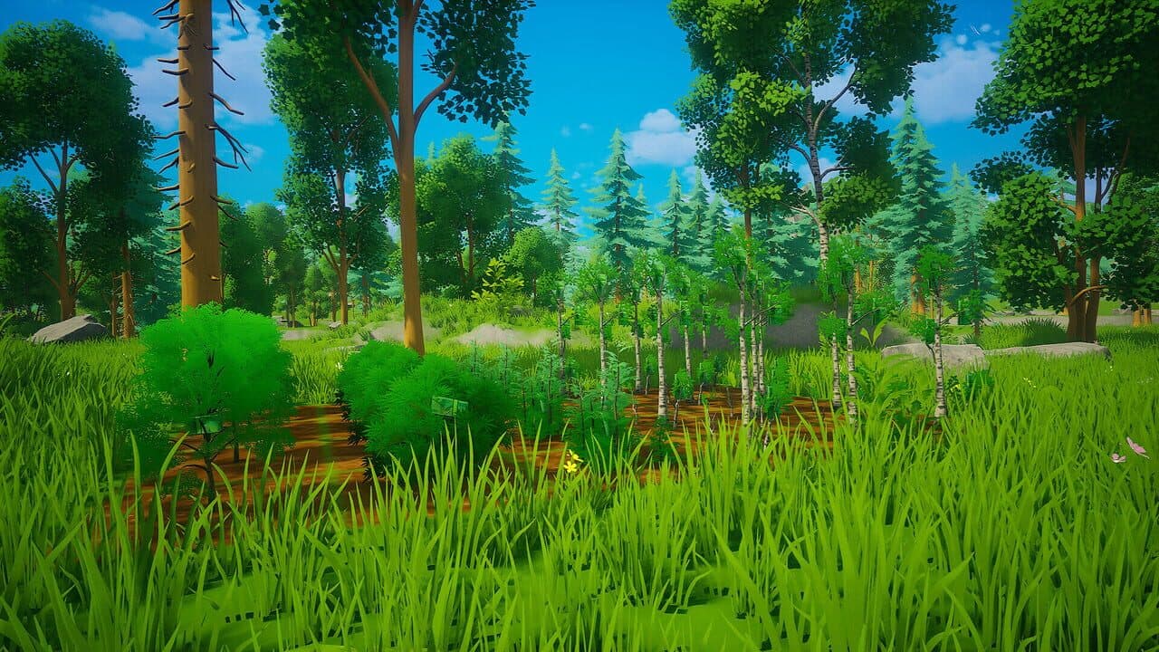 My Money Grows On Trees thumbnail 6