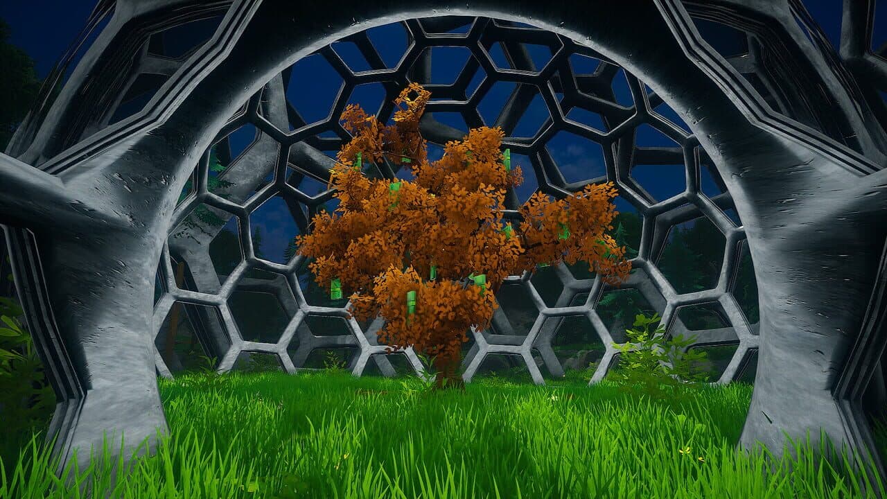 My Money Grows On Trees thumbnail 7