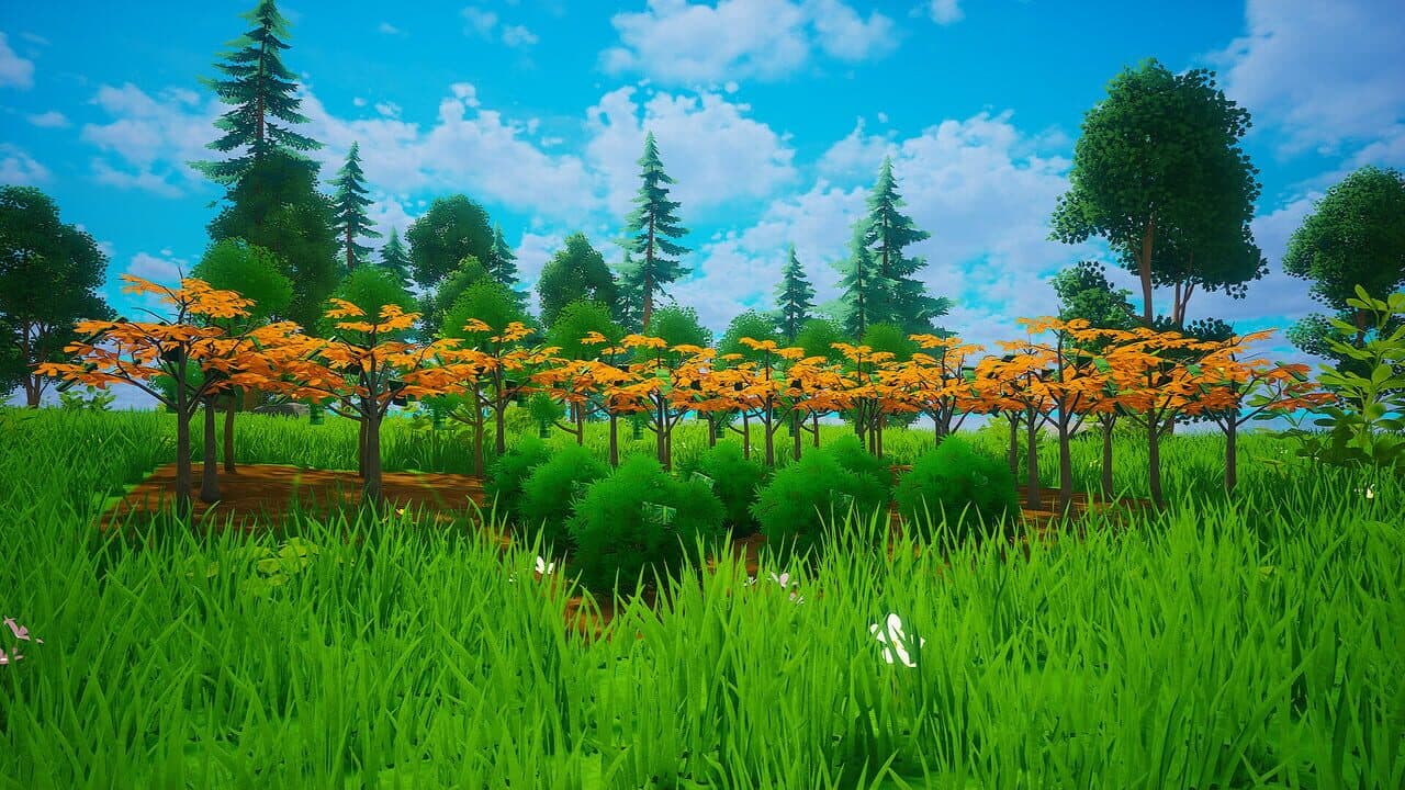 My Money Grows On Trees thumbnail 9