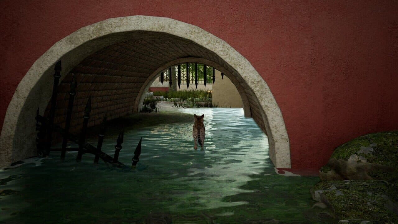 Curiosity thumbnail 2