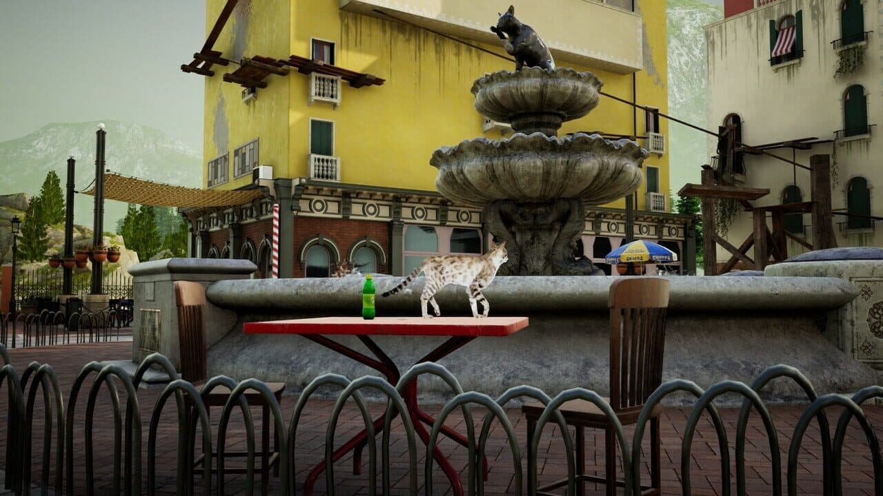 Curiosity thumbnail 3
