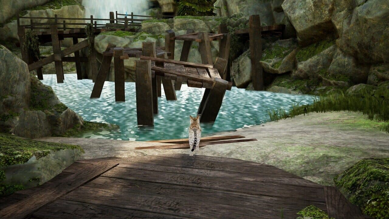 Curiosity thumbnail 4