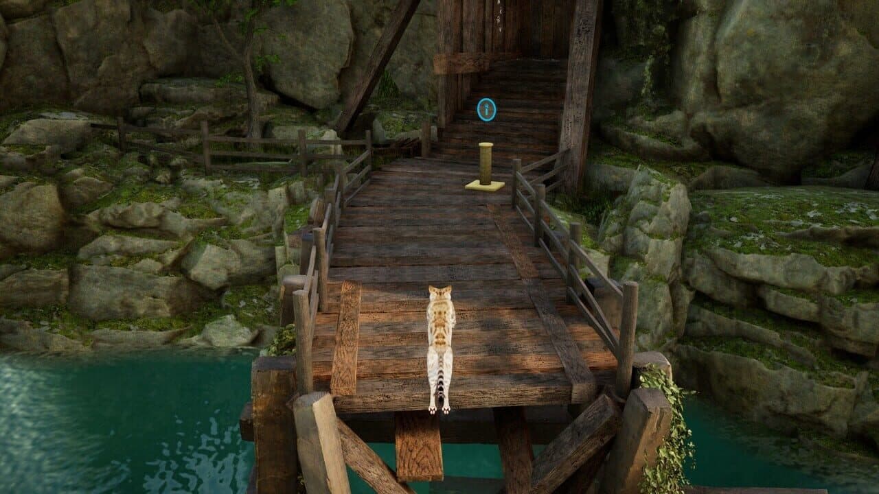Curiosity thumbnail 5