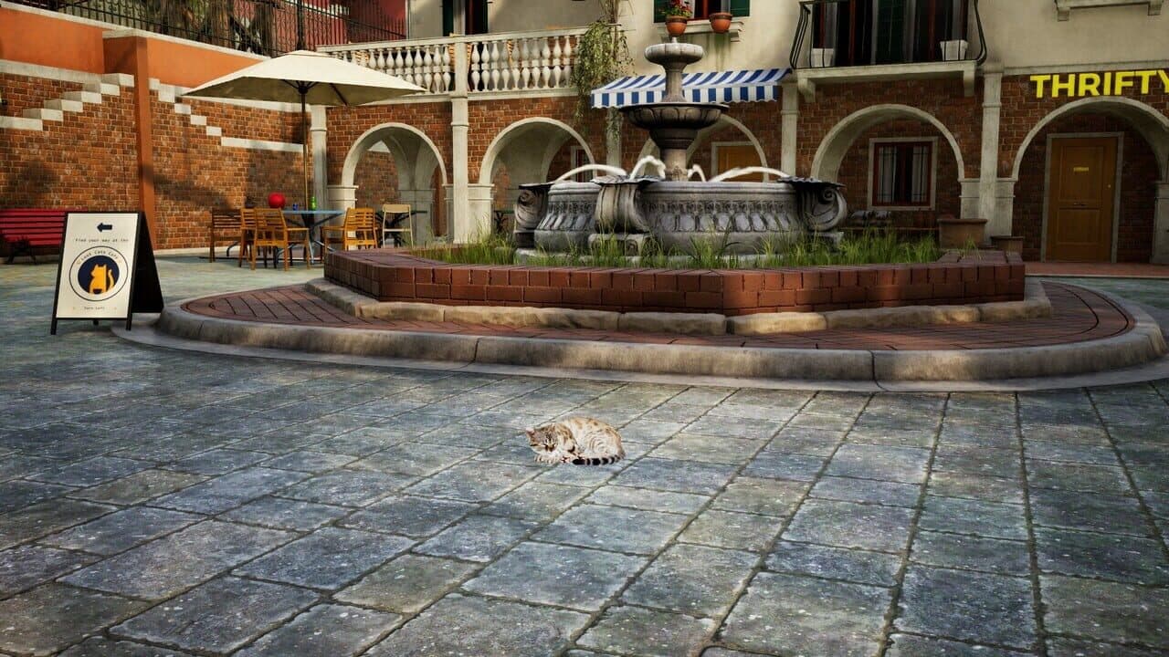 Curiosity thumbnail 7