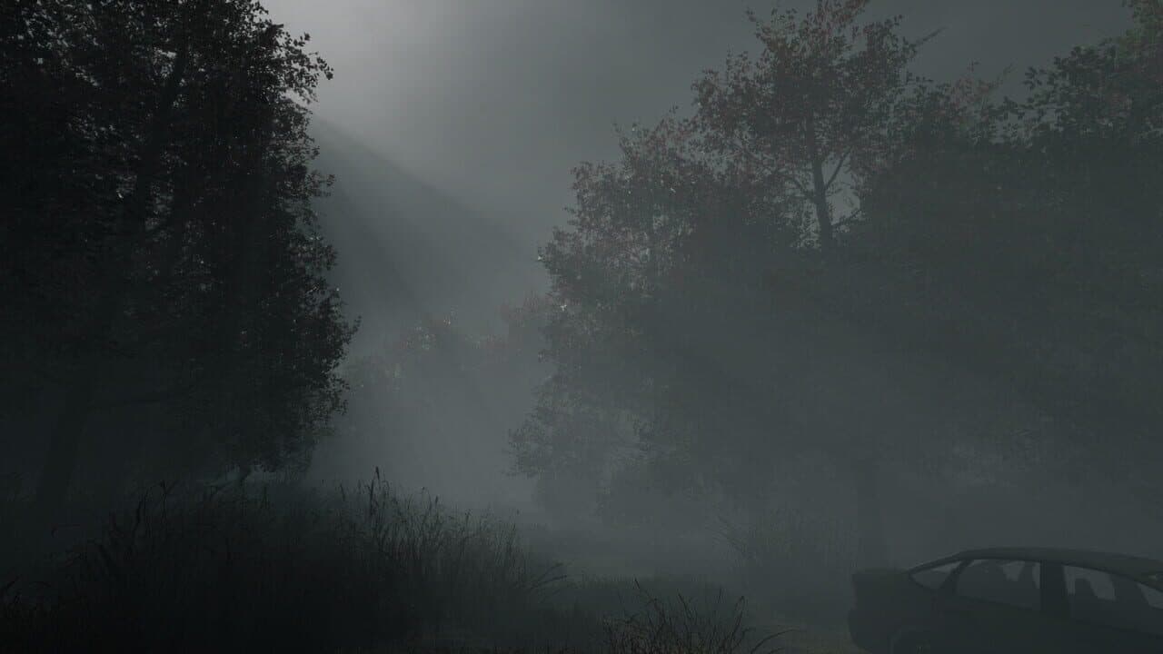Whispering Fog thumbnail 6