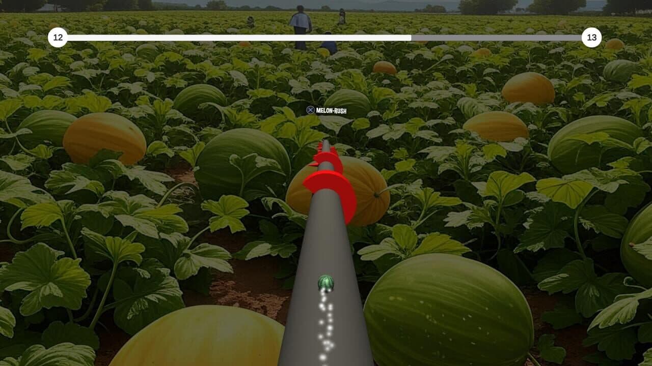 The Jumping Melon Rush 2 thumbnail 3