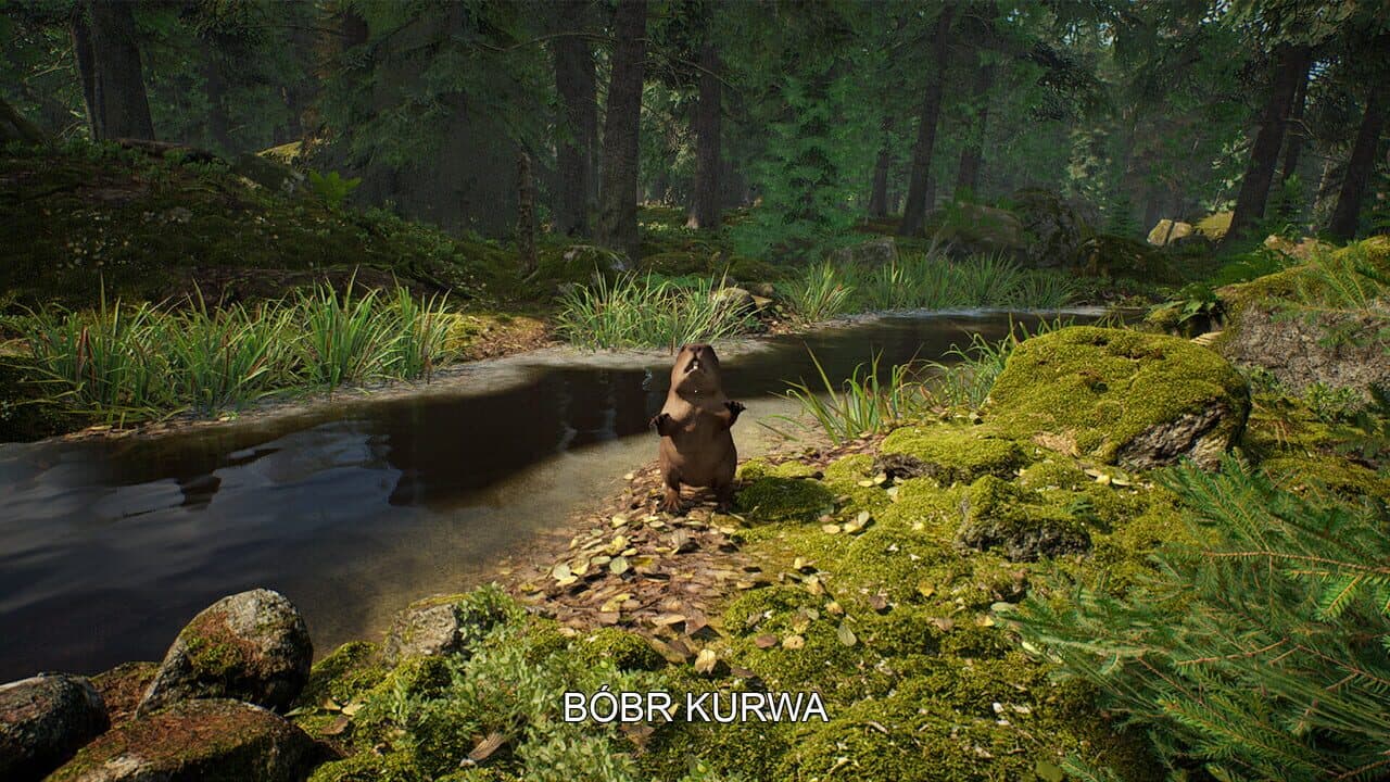 Mushroom Hunter Simulator thumbnail 2