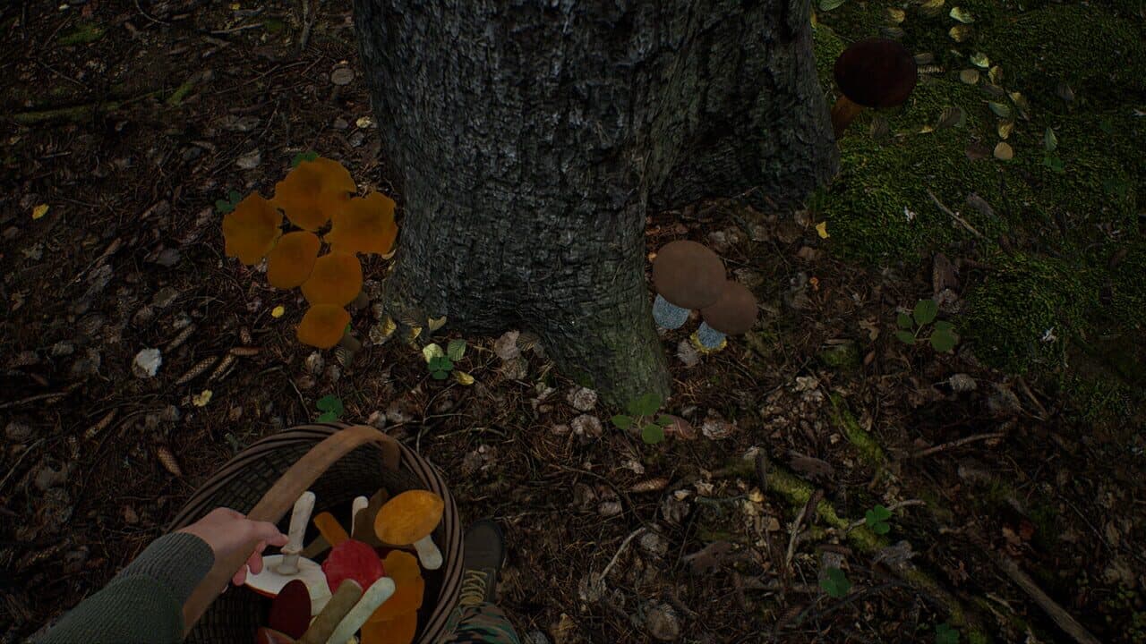 Mushroom Hunter Simulator thumbnail 3