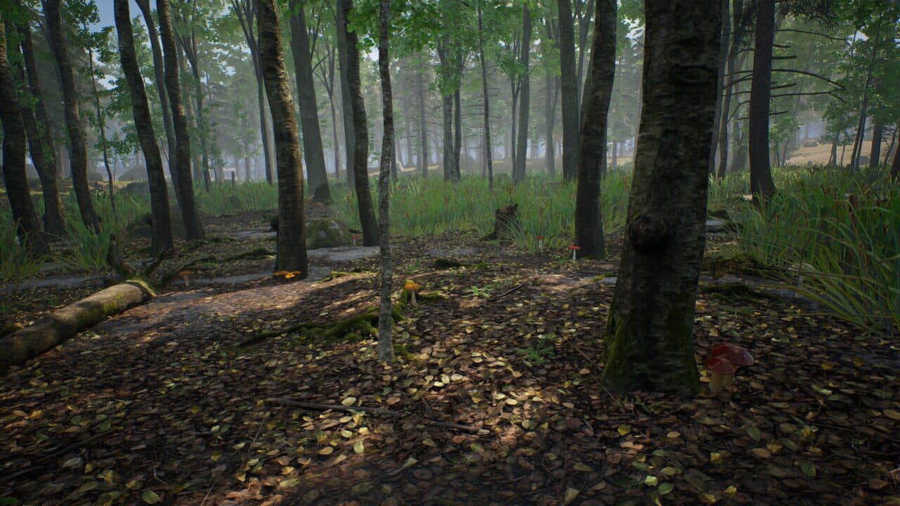 Mushroom Hunter Simulator thumbnail 7