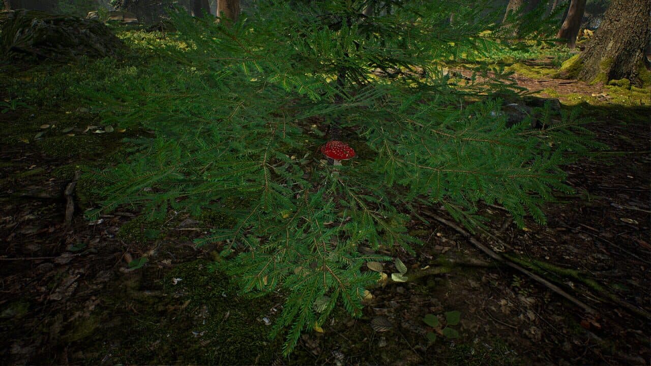 Mushroom Hunter Simulator thumbnail 8