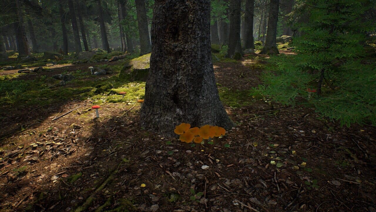 Mushroom Hunter Simulator thumbnail 4