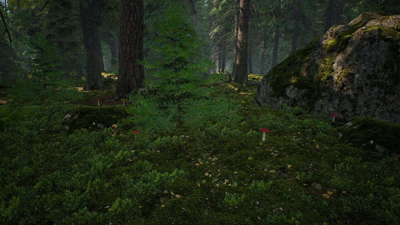 Mushroom Hunter Simulator thumbnail 10
