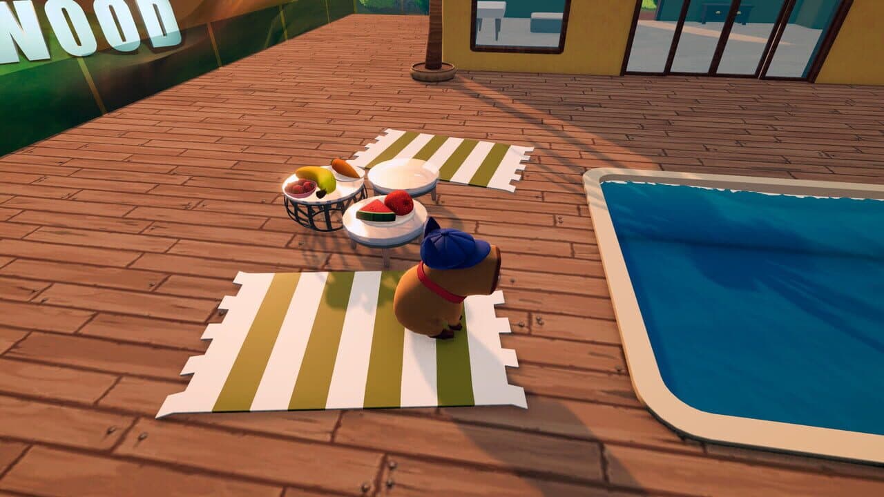 Capybara Hot Tub thumbnail 12